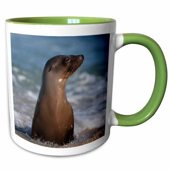 3drose, Usa, California, La Jolla. Young Sea Lion in Beach Water., 11oz Two-tone Green Mug