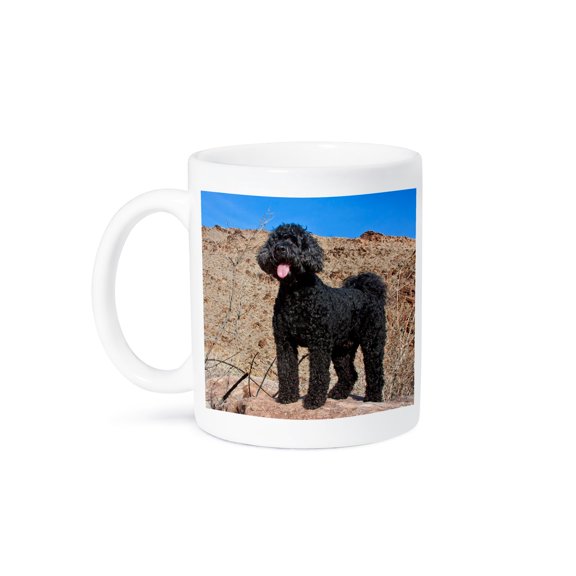 3drose, Usa, California. Labradoodle on a Boulder in the Colorado Desert., 11oz Mug