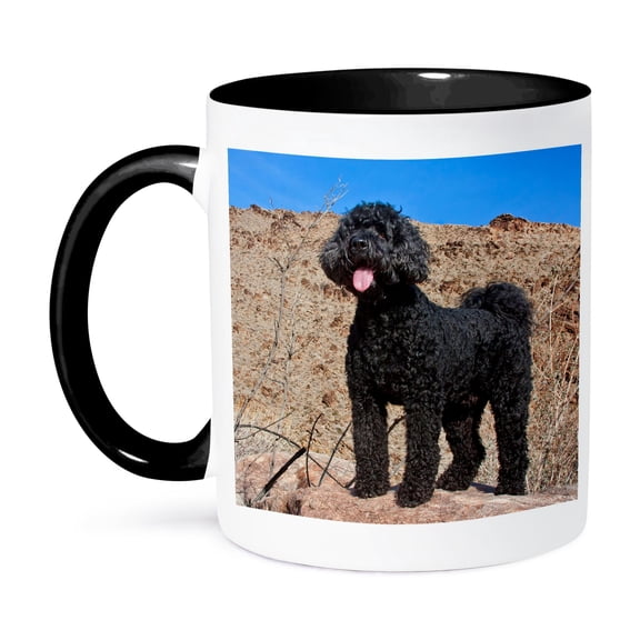 3drose, Usa, California. Labradoodle on a Boulder in the Colorado Desert., 11oz Two-tone Black Mug