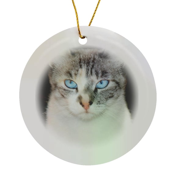 3drose, Usa, California. Lynx Point Siamese Cat Portrait., Circle Porcelain Ornament