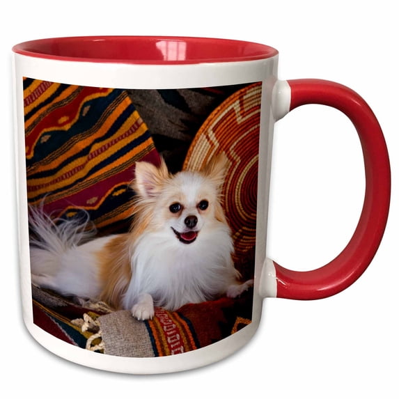 3drose, Usa, California. Pomeranian Lying on Southwestern Blankets., 15oz Two-tone Red Mug