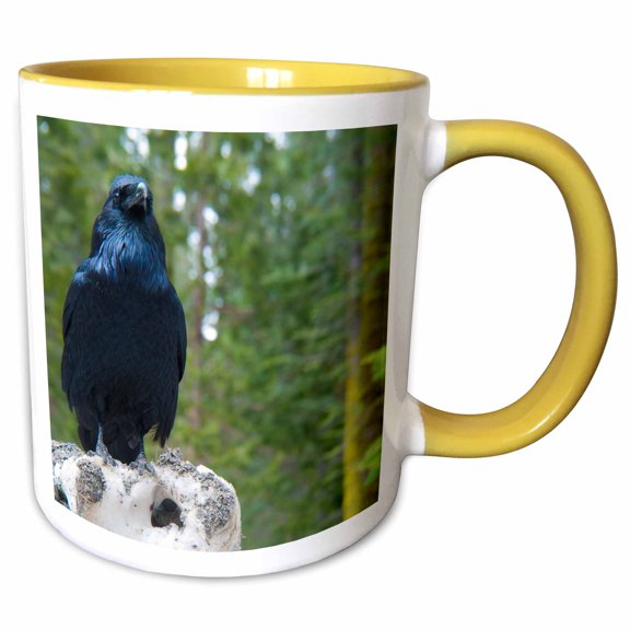 3drose, Usa, California. Ravens in the Sierras., 15oz Two-tone Yellow Mug