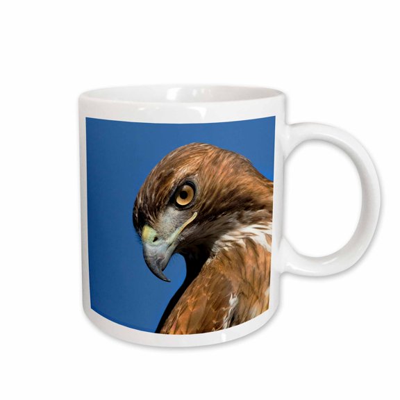 3drose, Usa, California. Red Shouldered Hawk Portrait., 15oz Mug