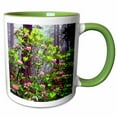 thumbnail image 1 of 3drose, Usa, California, Redwood Np. Redwood Trees with Rhododendron., 11oz Two-tone Green Mug, 1 of 6