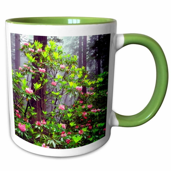 3drose, Usa, California, Redwood Np. Redwood Trees with Rhododendron., 11oz Two-tone Green Mug
