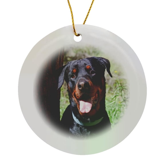 3drose, Usa, California. Rottweiler by a Tree., Circle Porcelain Ornament