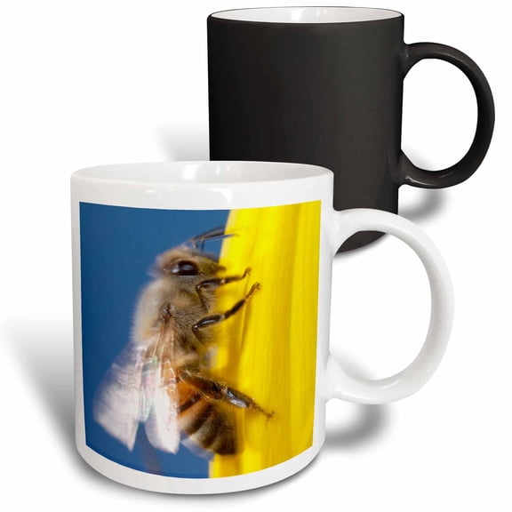 3drose, Usa, California, San Diego, Honey Bee Taking Off., 11oz Magic Transforming Mug