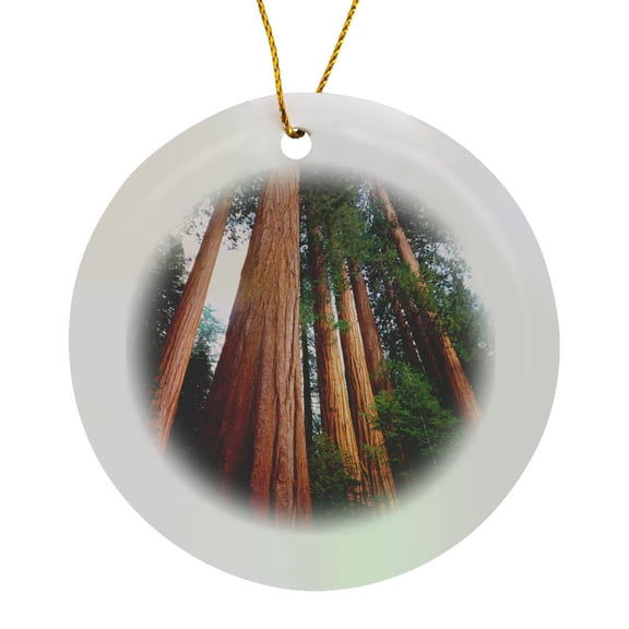 3drose, Usa, California, Sierra Nevada. Sequoia Redwood Trees in the Sierra., Circle Porcelain Ornament