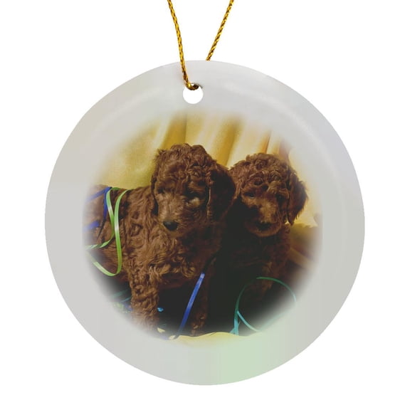 3drose, Usa, California. Standard Poodle Puppies with Yellow Background., Circle Porcelain Ornament