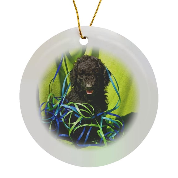 3drose, Usa, California. Standard Poodle Puppy Sitting with Green Background., Circle Porcelain Ornament