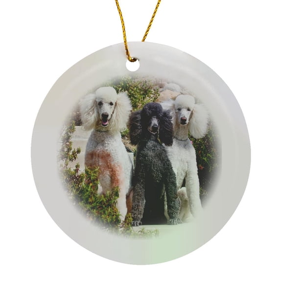 3drose, Usa, California. Three Standard Poodles Sitting Together., Circle Porcelain Ornament
