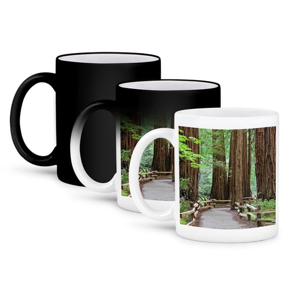 3dRose, USA, California. Trail through Muir Woods NM in springtime., 11oz Magic Transforming Mug