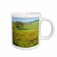 thumbnail image 1 of 3drose, Usa, California. West of Diablo Mountain Range, California Poppies, 11oz Mug, 1 of 6