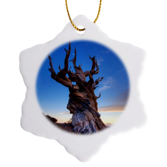 3drose, Usa, California, White Mountains. Bristlecone Pine Tree at Sunset., 3 inch Snowflake Porcelain Ornament