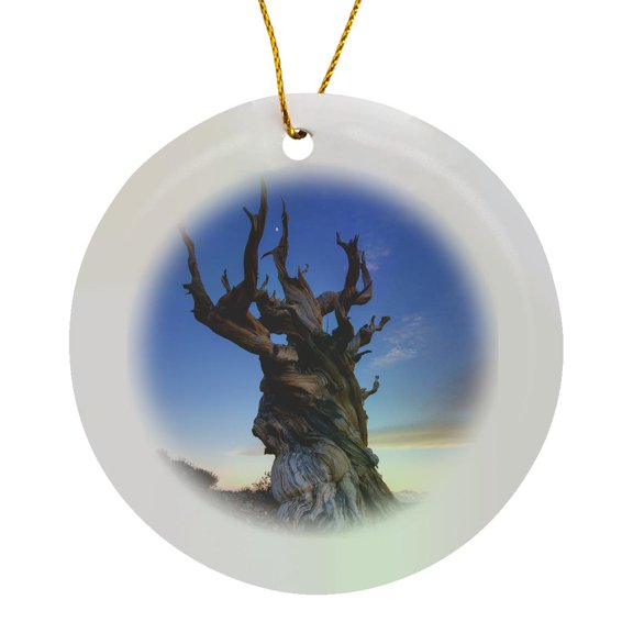 3drose, Usa, California, White Mountains. Bristlecone Pine Tree at Sunset., Circle Porcelain Ornament