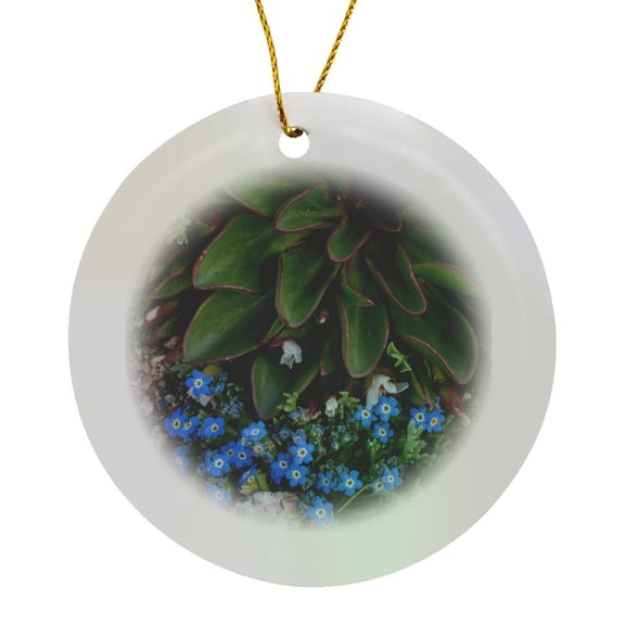 3drose, Usa, Colorado, American Basin, Alpine Spring Beauty and Forget-me-not, Circle Porcelain Ornament