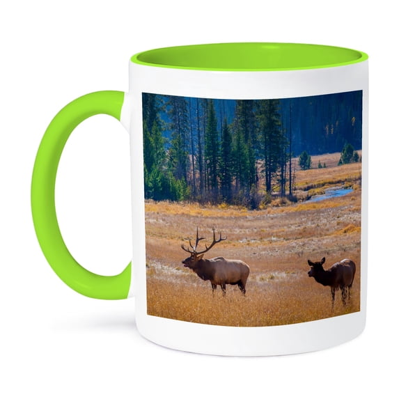 3dRose, USA, Colorado. Elk in Rocky Mountain National Park., 11oz Two-Tone Green Mug