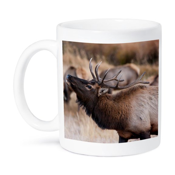 3dRose, USA, Colorado, Estes Park, Rocky Mountain NP, Bull Elk or Wapiti, 11oz Mug