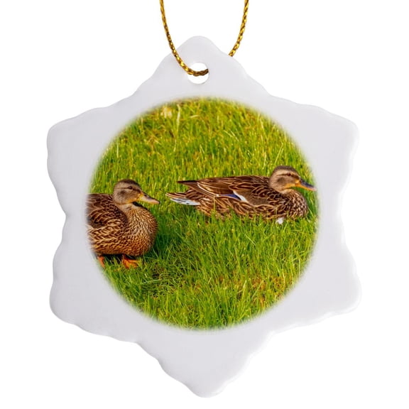3drose, Usa, Colorado, Fort Collins. Closeup of Mallard Ducks in Grass., 3 inch Snowflake Porcelain Ornament
