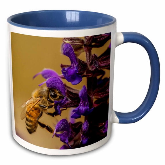 3drose, Usa, Colorado, Jefferson County. Honey Bee on Salvia Blossoms., 11oz Two-tone Blue Mug