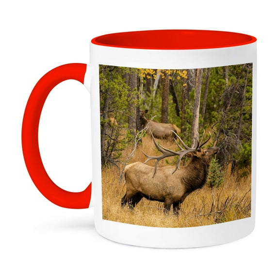 3drose, Usa, Colorado, Rocky Mountain National Park. Male Elk About to Bugle., 11oz Two-tone Red Mug