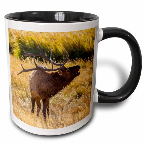 3drose, Usa, Colorado, Rocky Mountain Np. Male Elk Bugling in Grassland., 11oz Two-tone Black Mug