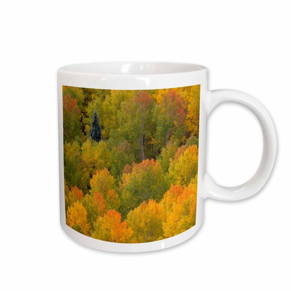 3drose, Usa, Colorado, Rocky Mountains. Autumn Yellow Aspens., 11oz Mug