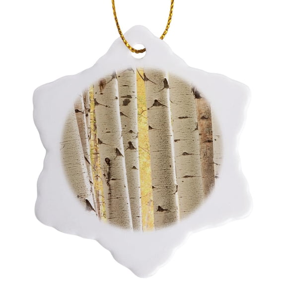 Usa, Colorado, White River National Forest, Aspen., 3 inch Snowflake Porcelain Ornament