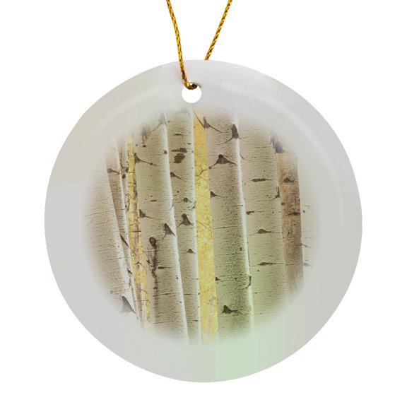 Usa, Colorado, White River National Forest, Aspen., Circle Porcelain Ornament