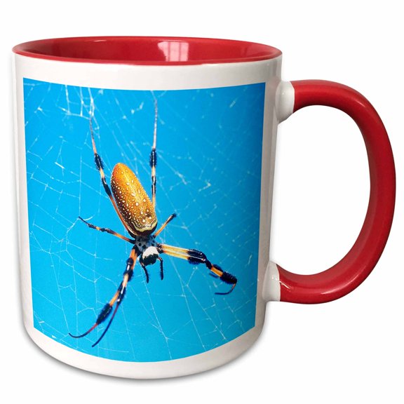 3drose, Usa, Florida, Golden Orb Spider - Us10 Gjo0392 - Greg Johnston, 11oz Two-tone Red Mug
