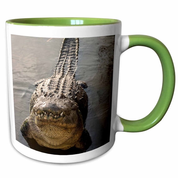 3drose, Usa, Florida, Orlando. Alligator Doing Water Dance at Gatorland., 15oz Two-tone Green Mug