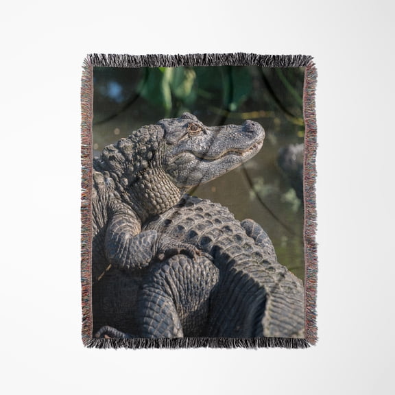 Usa, Florida, Orlando, Alligators Basking In The Sun., Woven Blanket