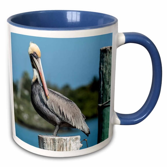 3drose, Usa, Florida - Pelican Perched on Pylon., 11oz Two-tone Blue Mug