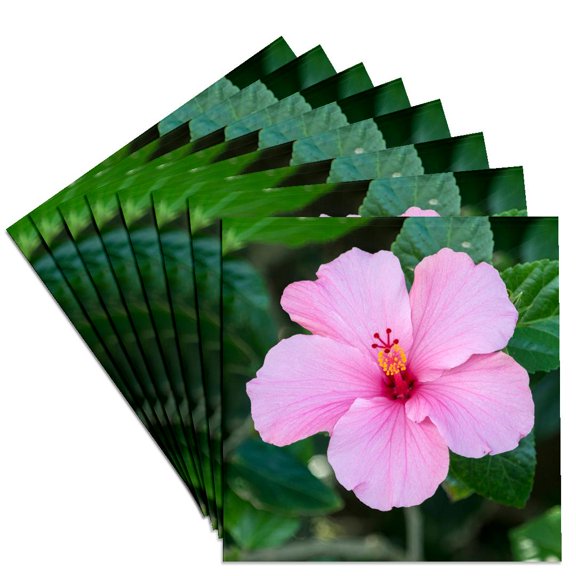 3drose, Usa, Florida, Pink Hibiscus, Set of 8 Ceramic Tile Coasters