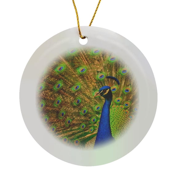 3drose, Usa, Florida, St. Augustine, Peacock Strutting in Breeding Plumage., Circle Porcelain Ornament