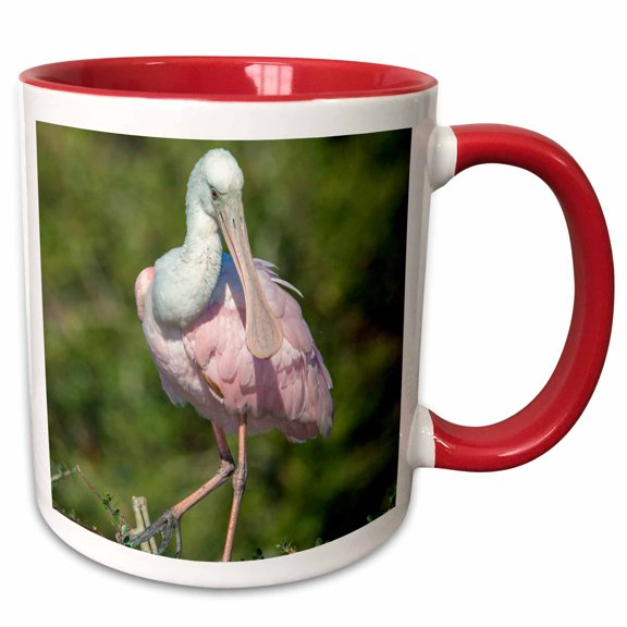 3drose, Usa, Florida, St. Augustine, Roseate Spoonbill at Alligator Rookery, 11oz Two-tone Red Mug