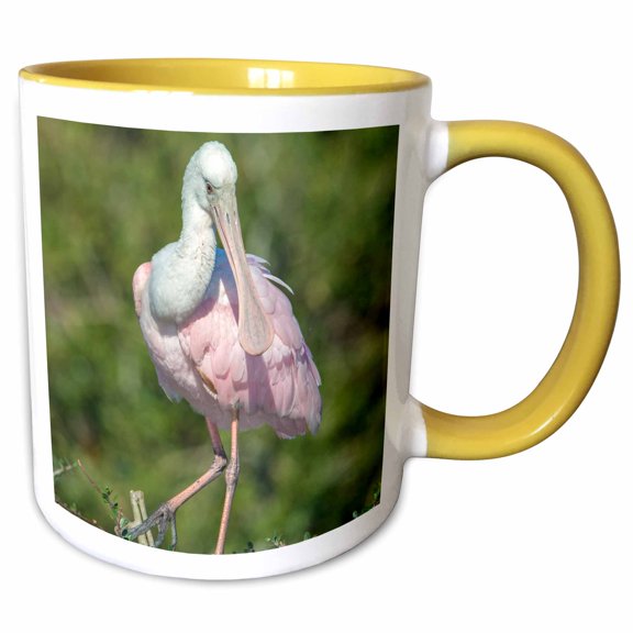 3drose, Usa, Florida, St. Augustine, Roseate Spoonbill at Alligator Rookery, 11oz Two-tone Yellow Mug
