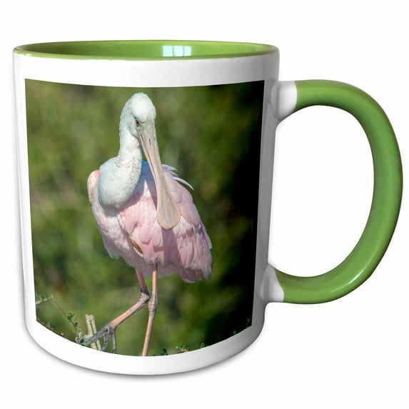 3drose, Usa, Florida, St. Augustine, Roseate Spoonbill at Alligator Rookery, 15oz Two-tone Green Mug