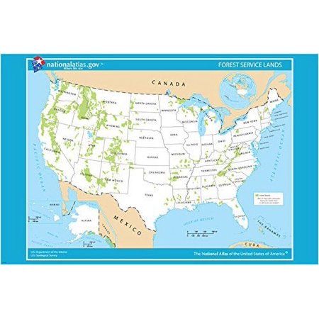 Usa Forest Service Land Map Poster 20x30 Educational Great For Schools