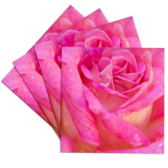 3drose, Usa, Georgia, Savannah. Closeup of Pink Rose with Water Droplets, Set of 4 Ceramic Tile Coasters