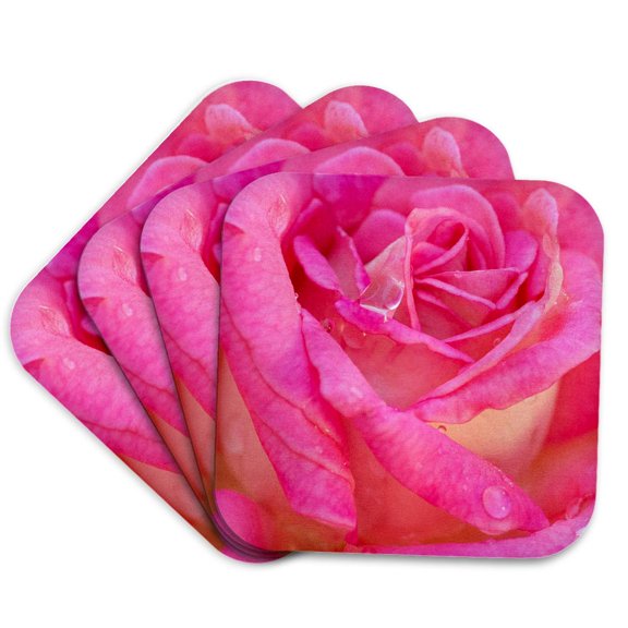 3drose, Usa, Georgia, Savannah. Closeup of Pink Rose with Water Droplets, Set of 4 Coasters - Soft