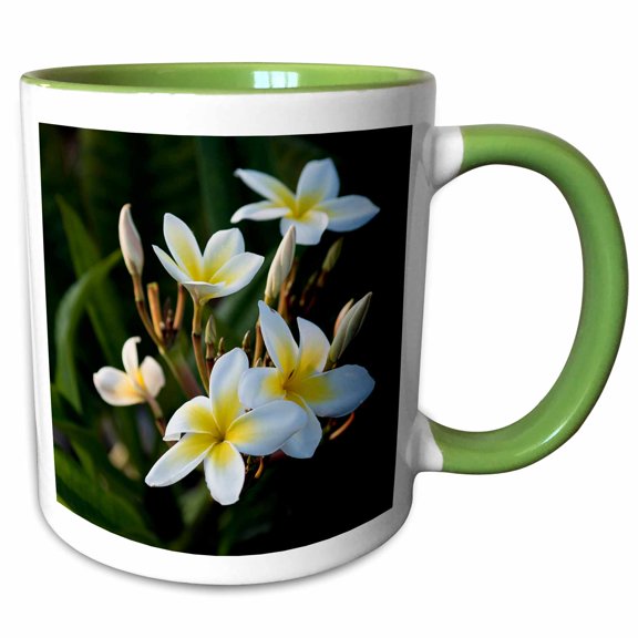 3drose, Usa, Hawaii, Kailua Kona, Close-up of Singapore Plumeria., 15oz Two-tone Green Mug
