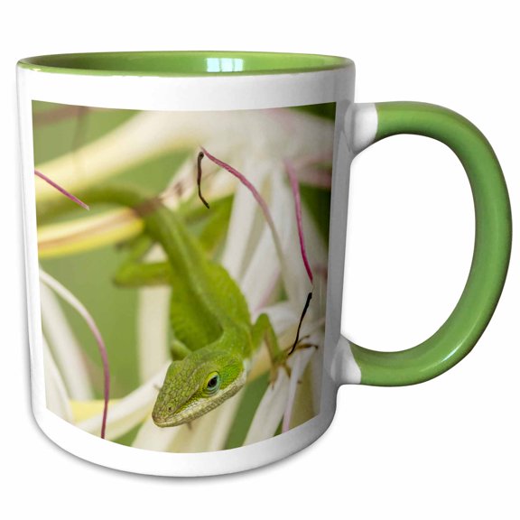 3drose, Usa, Hawaii, Kauai. Anole Lizard on Blossom., 15oz Two-tone Green Mug