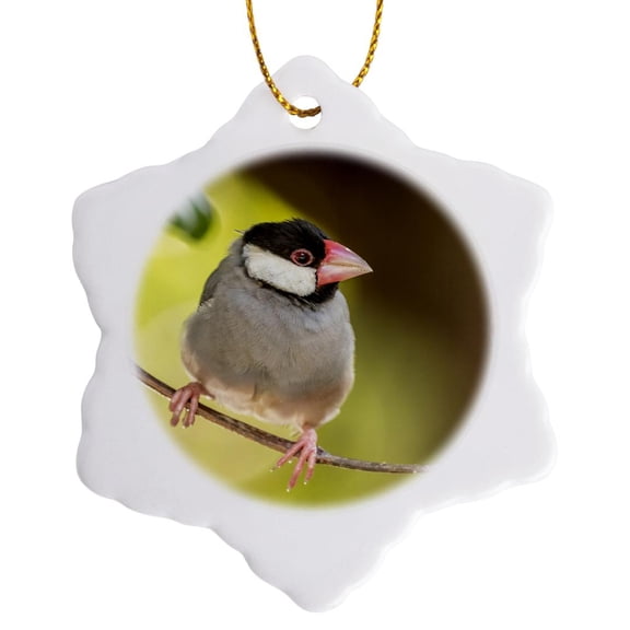 3drose, Usa, Hawaii, Kona. Java Sparrow Close-up., 3 inch Snowflake Porcelain Ornament