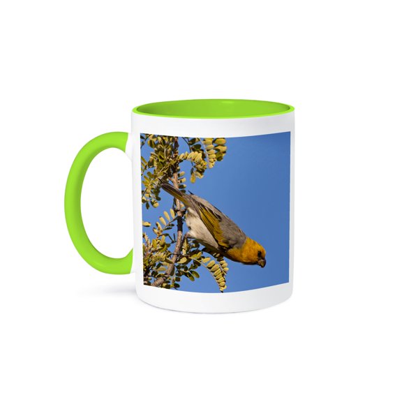 3drose, Usa, Hawaii, Mauna Kea, Palila Bird on Branch - Us12 Bjy0012 - Jaynes Gallery, 11oz Two-tone Green Mug