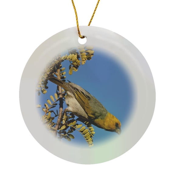 3drose, Usa, Hawaii, Mauna Kea, Palila Bird on Branch - Us12 Bjy0012 - Jaynes Gallery, Circle Porcelain Ornament