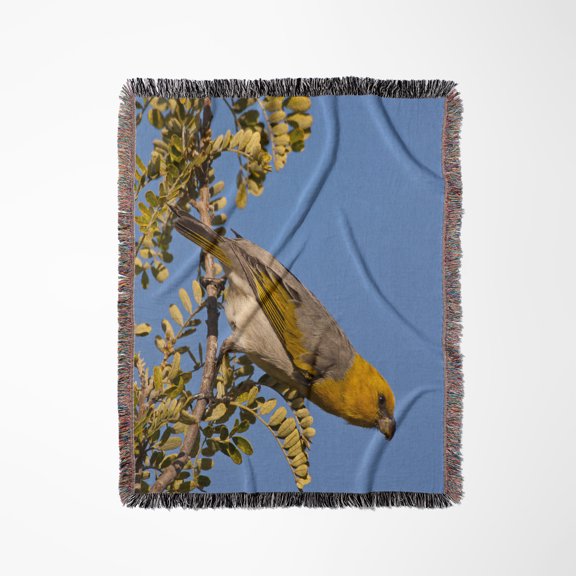 Usa, Hawaii, Mauna Kea, Palila Bird On Branch - Us12 Bjy0012 - Jaynes Gallery, Woven Blanket