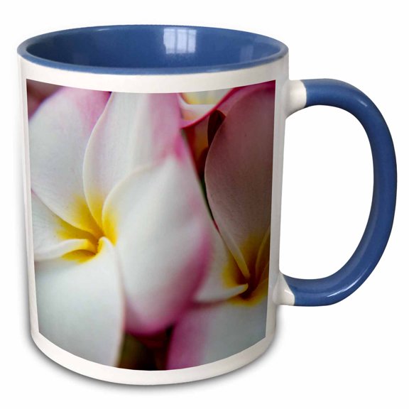 3drose, Usa, Hawaii, Oahu, Close Up of Pink Plumeria Flower, 15oz Two-tone Blue Mug