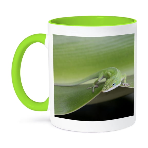 3drose, Usa, Hawaii, Oahu, Green Anole., 11oz Two-tone Green Mug