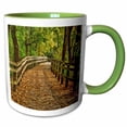 thumbnail image 1 of 3drose, Usa, Indiana. City Hiking Trail by the Wabash River, 11oz Two-tone Green Mug, 1 of 6